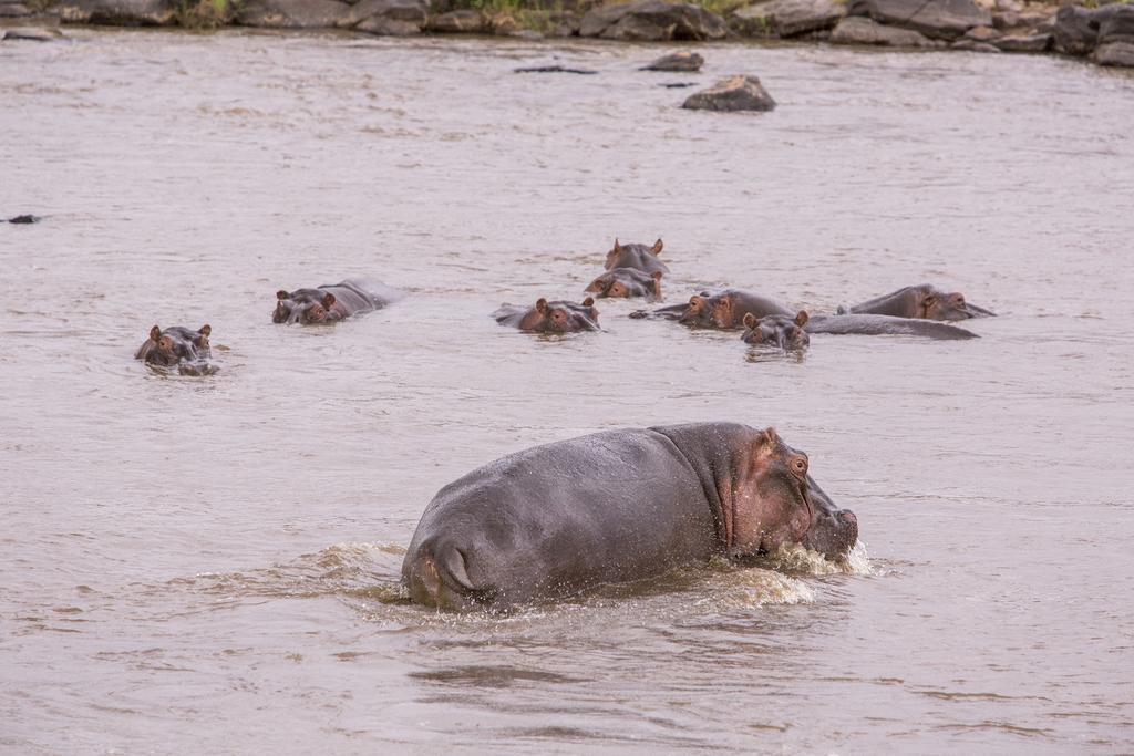 Mara Engai Lodge Lolgorien Buitenkant foto