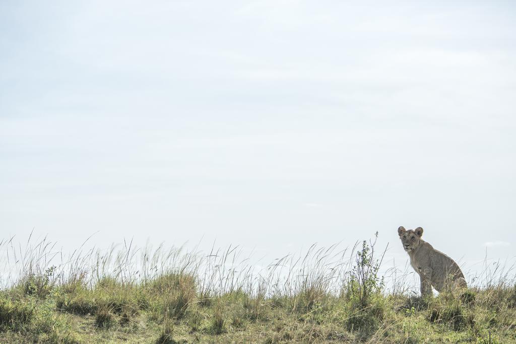 Mara Engai Lodge Lolgorien Buitenkant foto