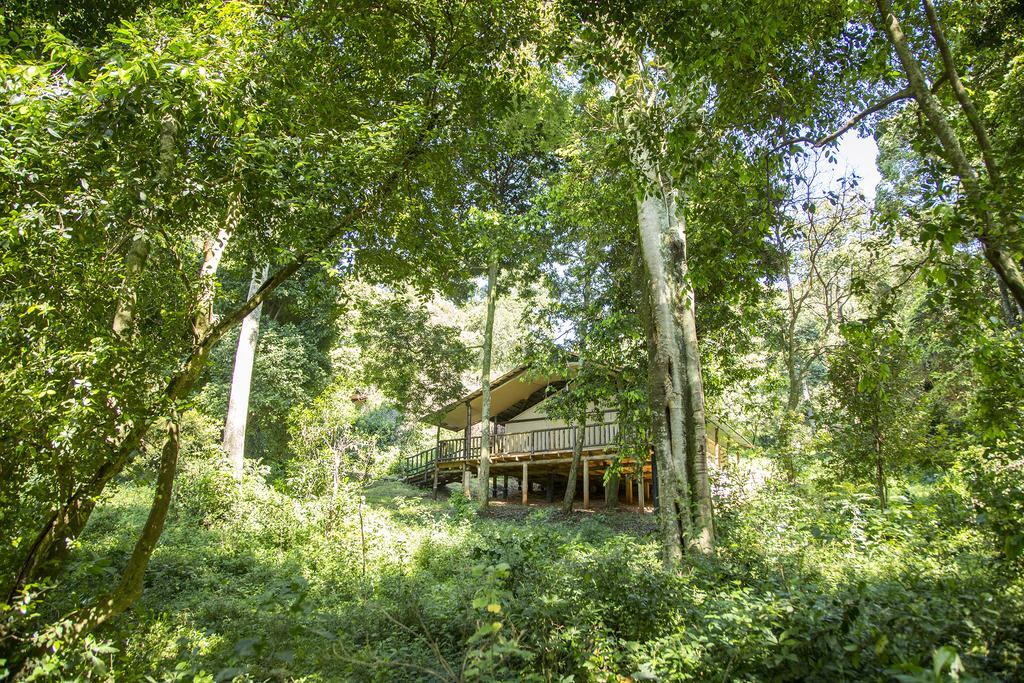 Mara Engai Lodge Lolgorien Buitenkant foto